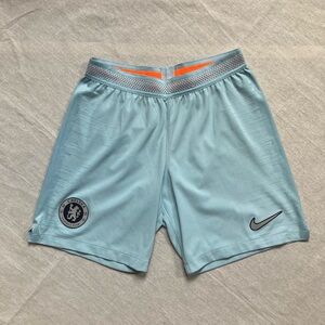 Nike Men's Light Blue Sports Shorts